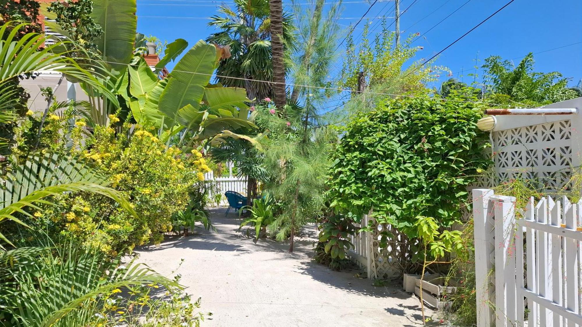 Amanda'S Place Casa Amancer - Sea View, Pool And Tropical Garden Caye Caulker Exterior photo