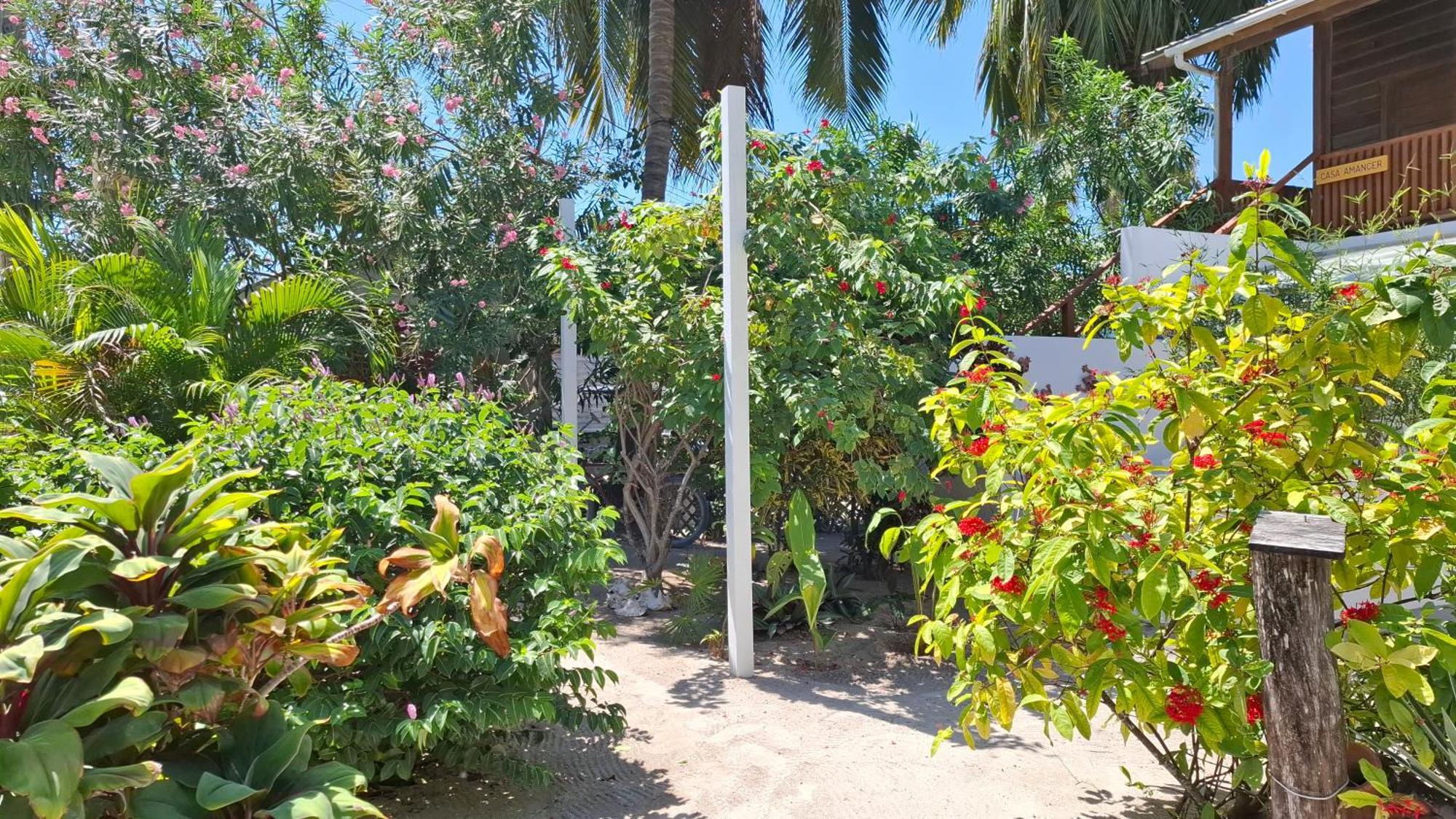 Amanda'S Place Casa Amancer - Sea View, Pool And Tropical Garden Caye Caulker Exterior photo