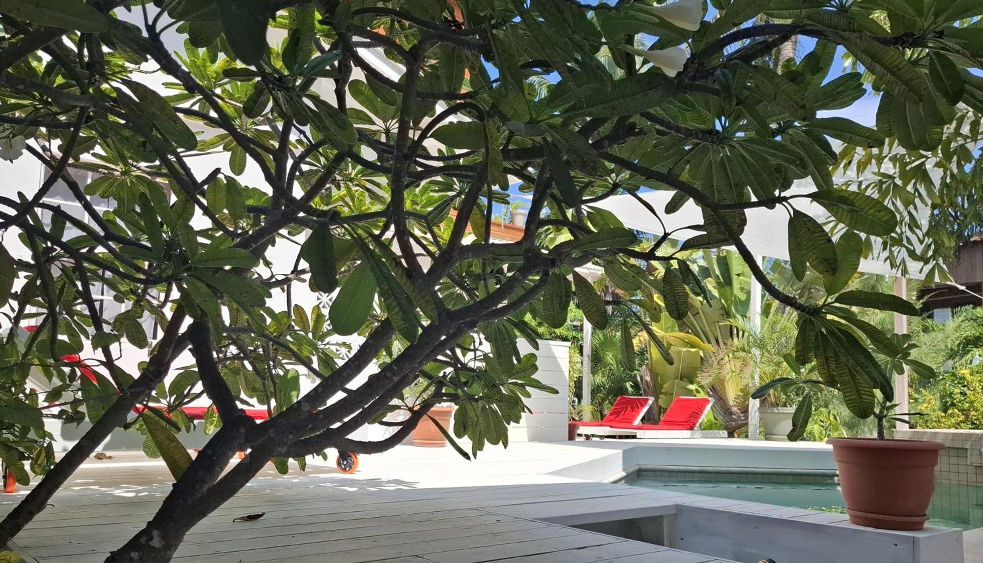 Amanda'S Place Casa Amancer - Sea View, Pool And Tropical Garden Caye Caulker Exterior photo