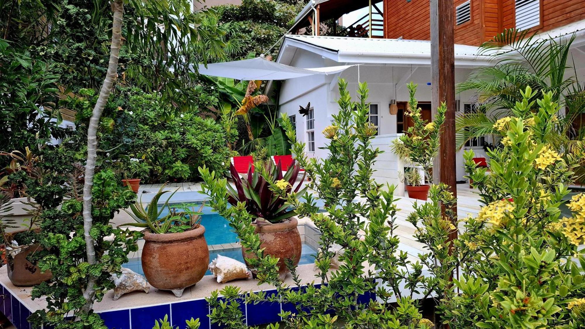Amanda'S Place Casa Amancer - Sea View, Pool And Tropical Garden Caye Caulker Exterior photo